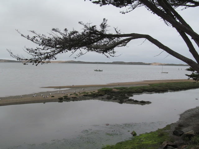 view of Morro Bay